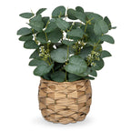 Boho Rattan Artificial Plant — 11"