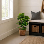 Boho Black Artificial Plant - View 5