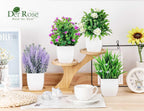 Faux Plant - View 2