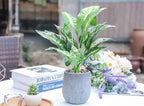 Faux Plant — 16" - View 4