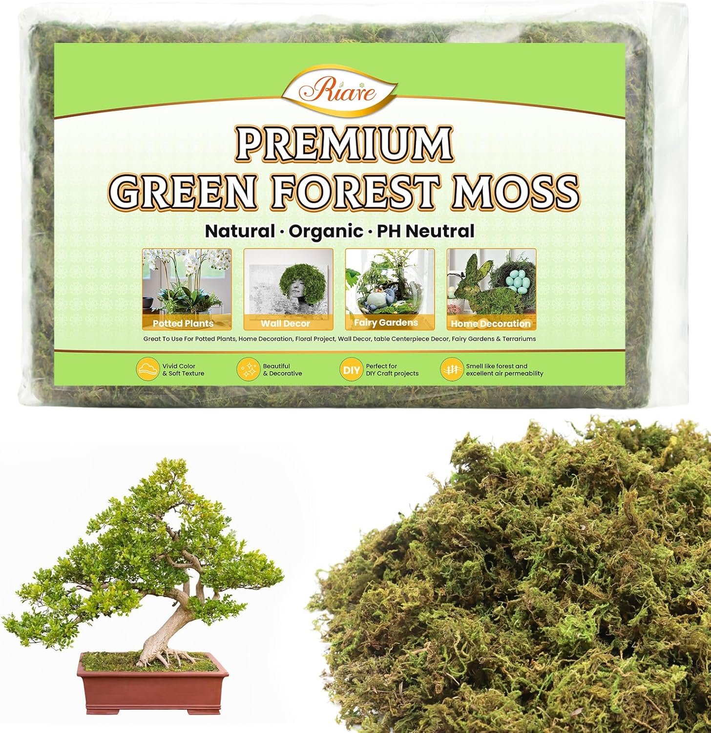 Artificial Plant — 7 Oz