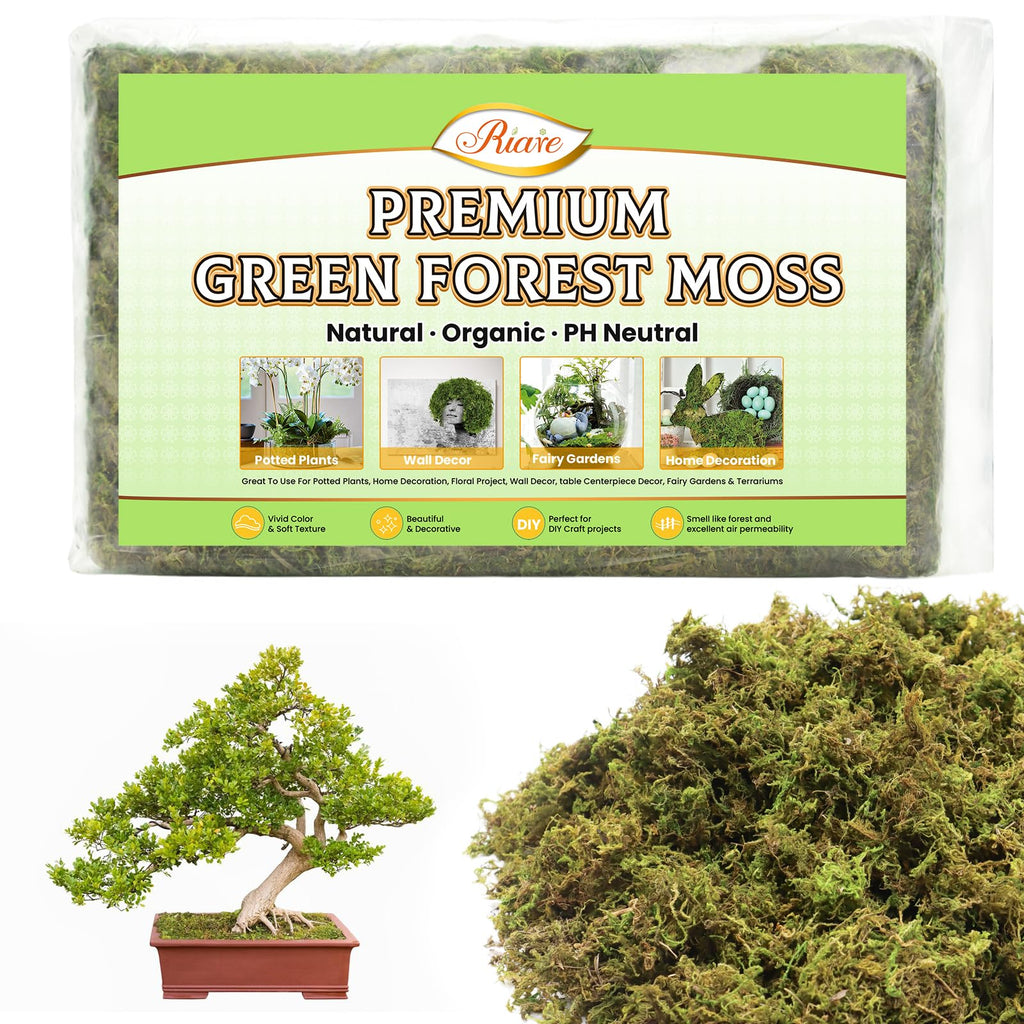Artificial Plant