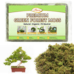 Artificial Plant