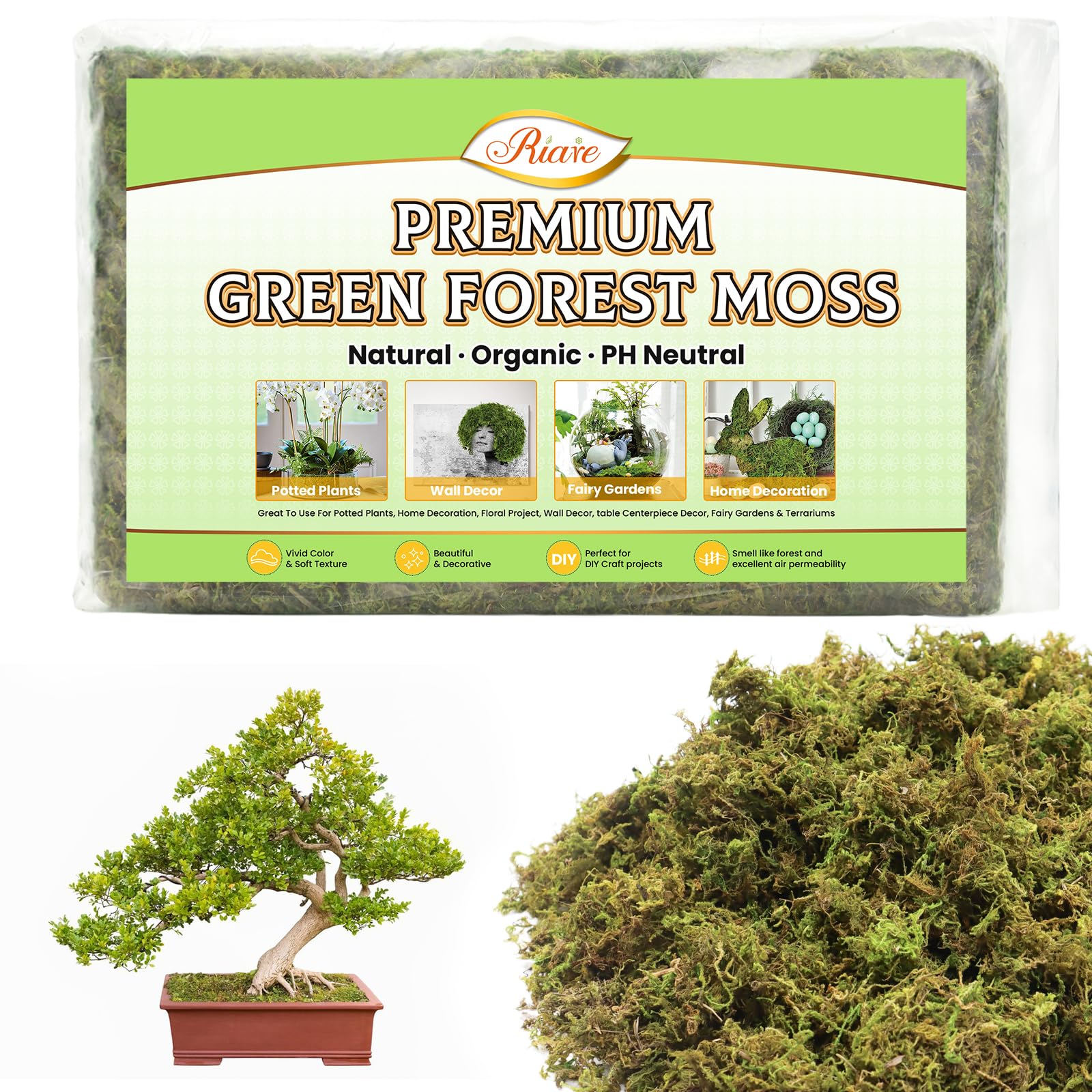 Artificial Plant