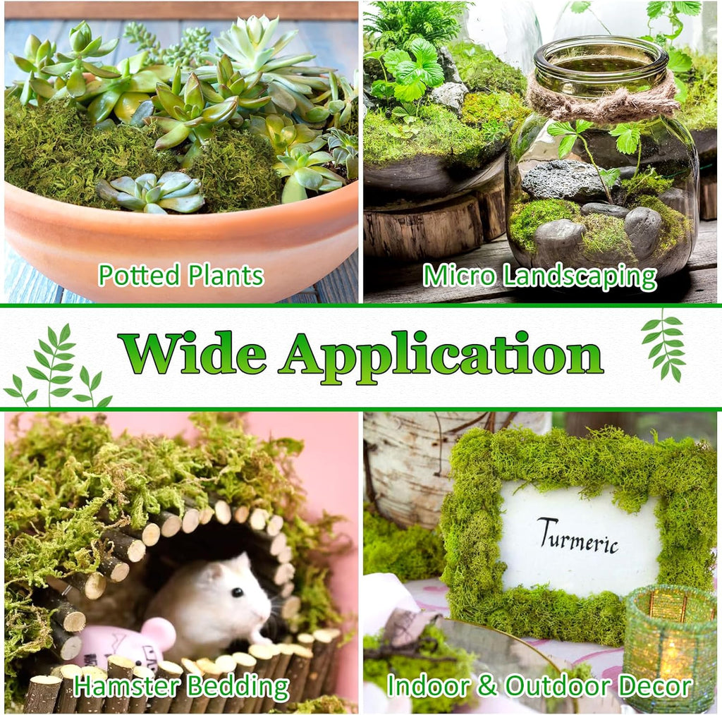 Artificial Plant - View 6