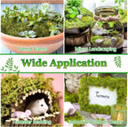 Artificial Plant - View 6