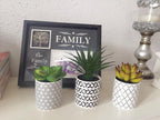 Ceramic Faux Plant — 3" - View 3