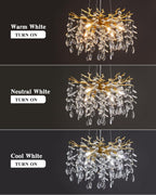 Round Luxe Black Chandelier — 6-Light - View 9