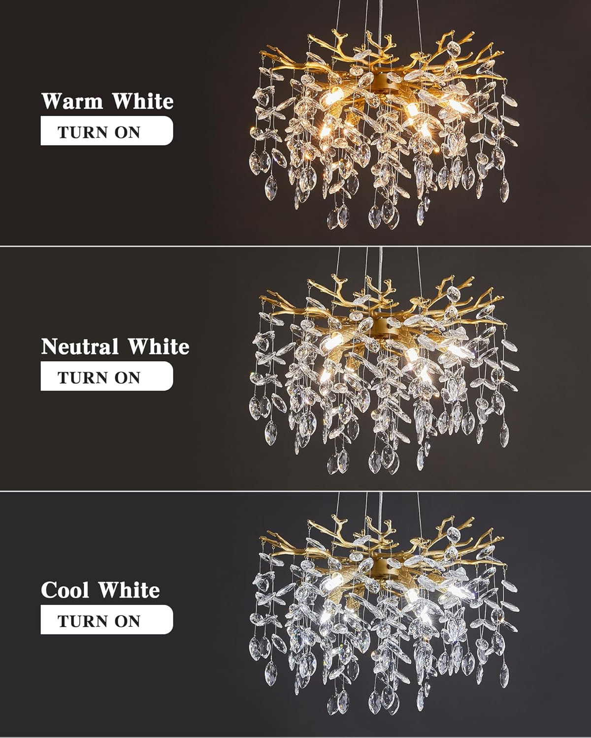 Round Luxe Black Chandelier — 6-Light - View 9
