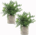 Farmhouse Black Artificial Plant — Green01-2