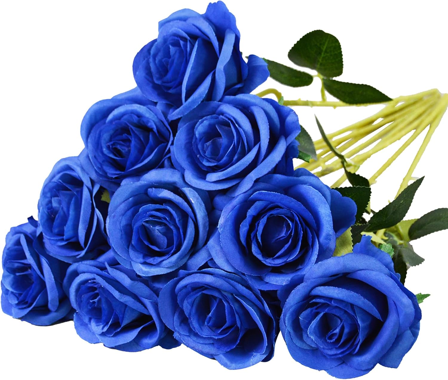 Black Artificial Plant — Blue