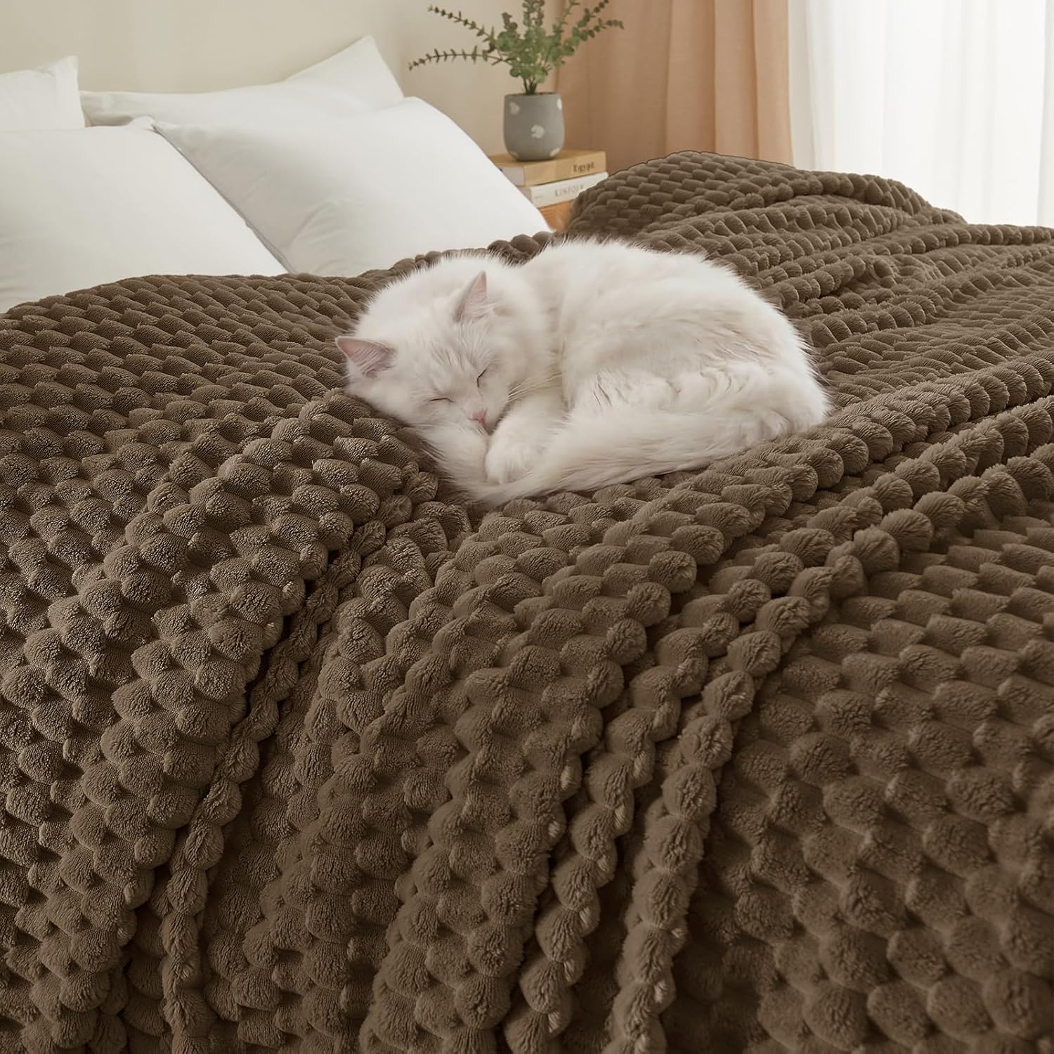 Luxe Beige Throw Pillow — 50" — Twin(66"x90")