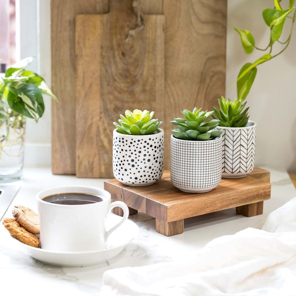 Farmhouse Faux Plant — 4.75" - View 3