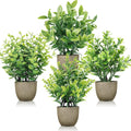 Farmhouse Black Artificial Plant — Grey
