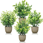 Farmhouse Black Artificial Plant — Grey