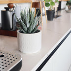 Beige Faux Plant — 6.7" - View 3