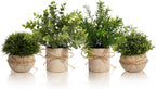 Farmhouse Faux Plant — Green Rosemary I