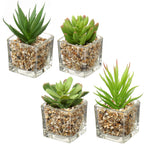 Glass Faux Plant — Set of 4