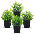 Black Faux Plant