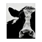 Fabric Canvas Wall Art — 40"