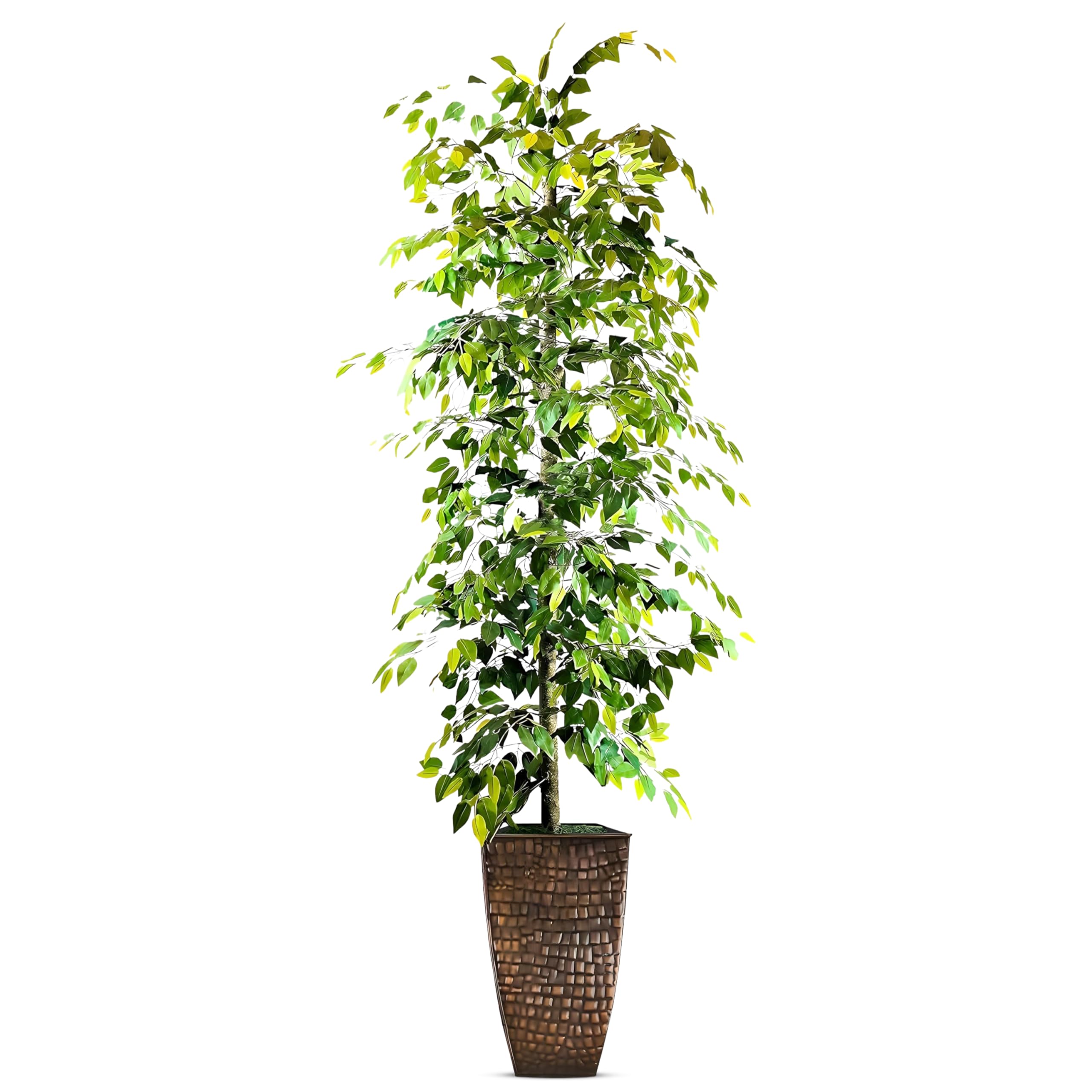 Black Faux Plant