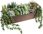Rectangular Black Faux Succulent — 15" — Brown