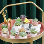 Gold Faux Succulent - View 9