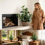 Boho Green Artificial Plant — 18.8" - View 4