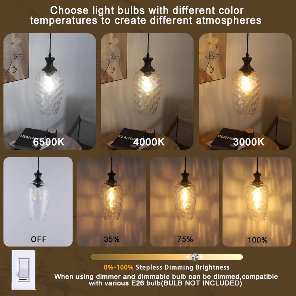 Farmhouse Black Pendant Light — 1-Light - View 4
