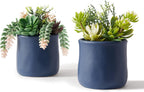 Black Artificial Plant — Set of 3 — Blue