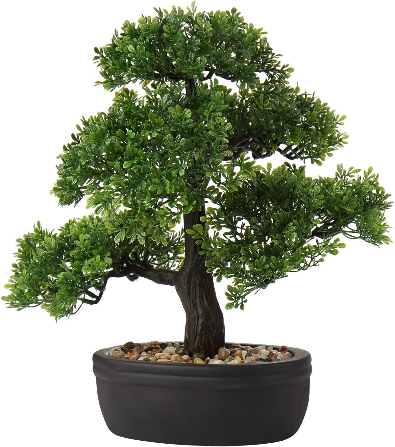 Farmhouse Ceramic Faux Plant — 6" — 14" Ficus