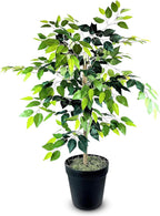 Black Faux Plant — Black Plastic
