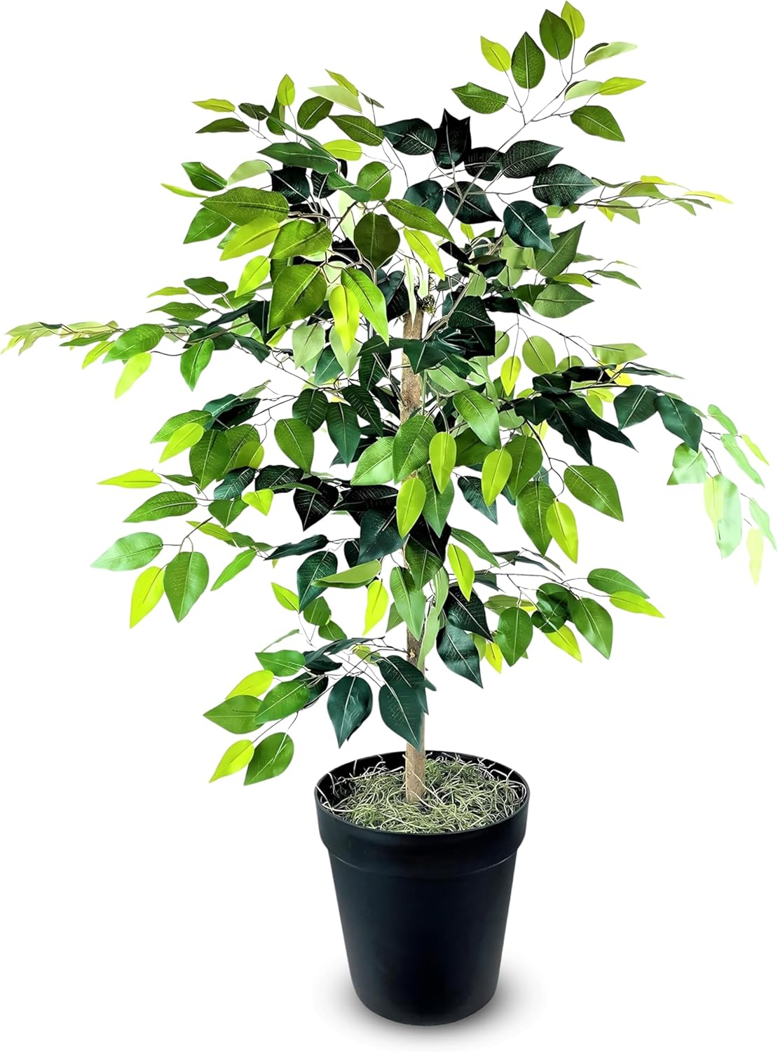Black Faux Plant — Black Plastic