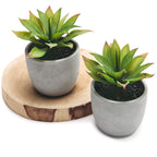 Farmhouse Faux Plant — Set of 2