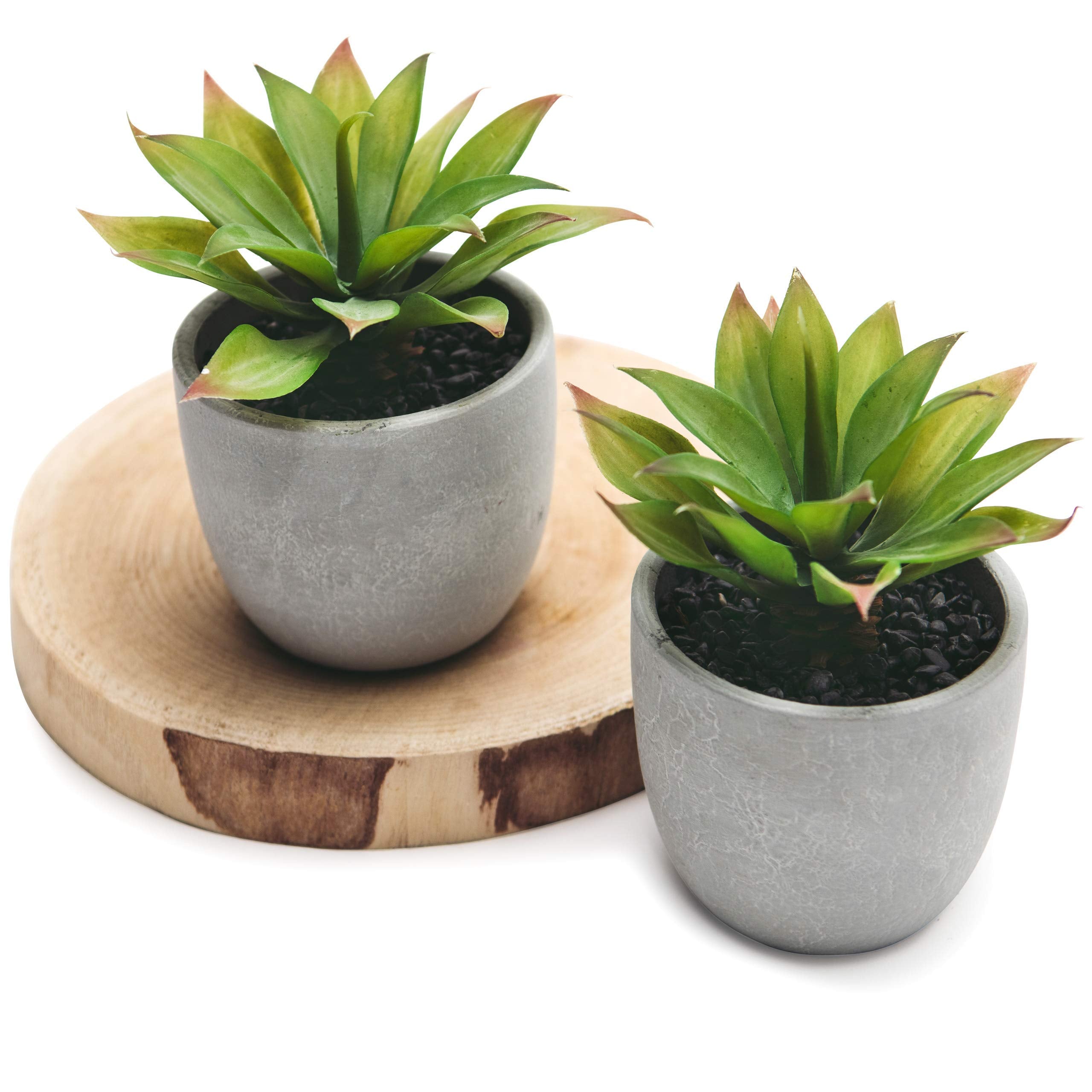 Farmhouse Faux Plant — Set of 2