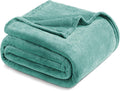 Black Throw Pillow — 50" — Celadon
