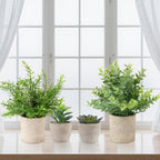 Farmhouse Black Faux Plant — 10" - View 6