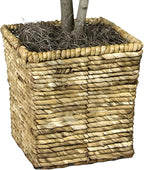 Boho Black Artificial Plant - View 7