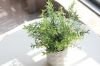 Farmhouse Faux Plant - View 8
