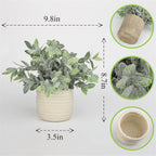 Farmhouse Green Faux Plant — 8" - View 3