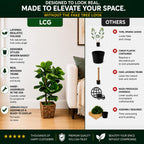 Boho Black Artificial Plant - View 3