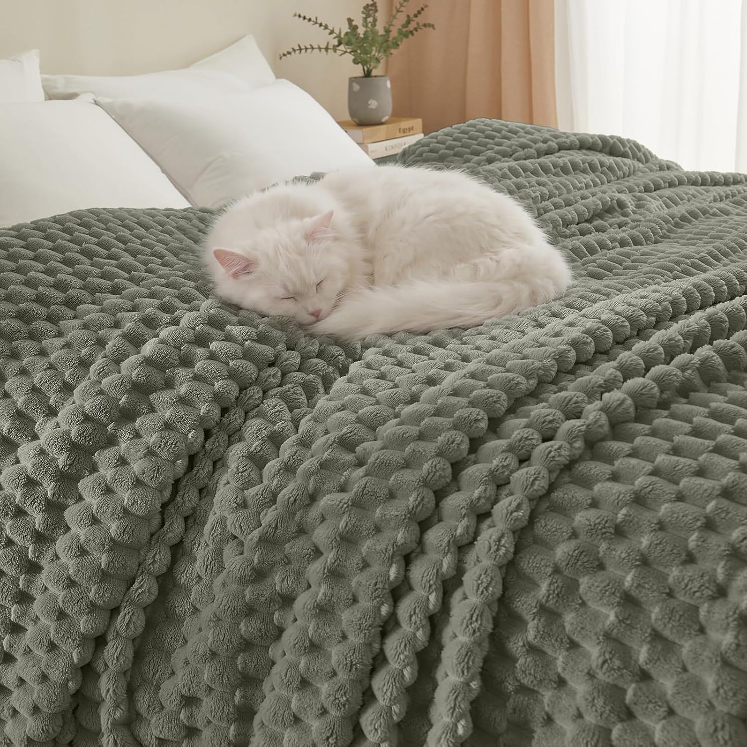 Luxe Beige Throw Pillow — 50" — Queen(90"x90")