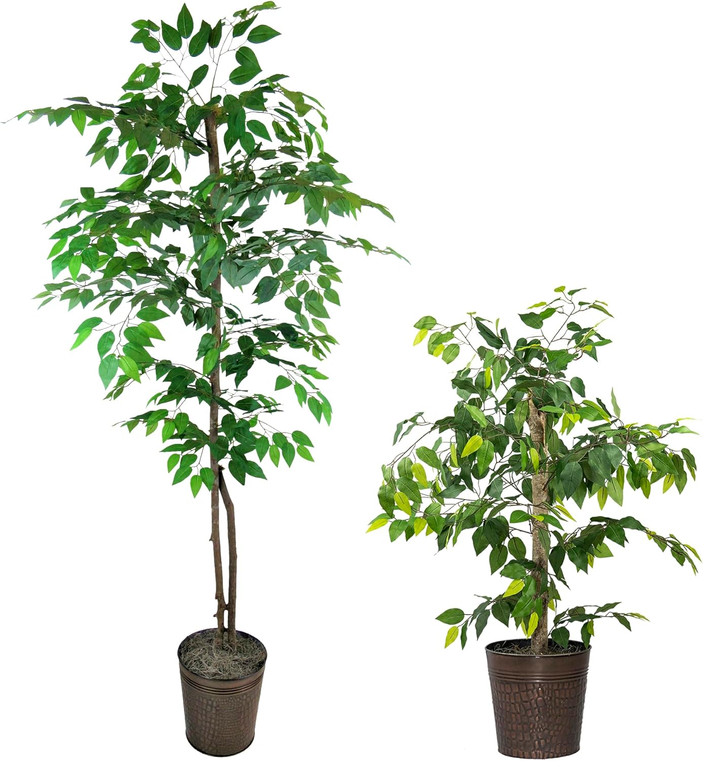 Black Faux Plant — Copper Metal