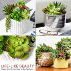 Artificial Plant - View 3