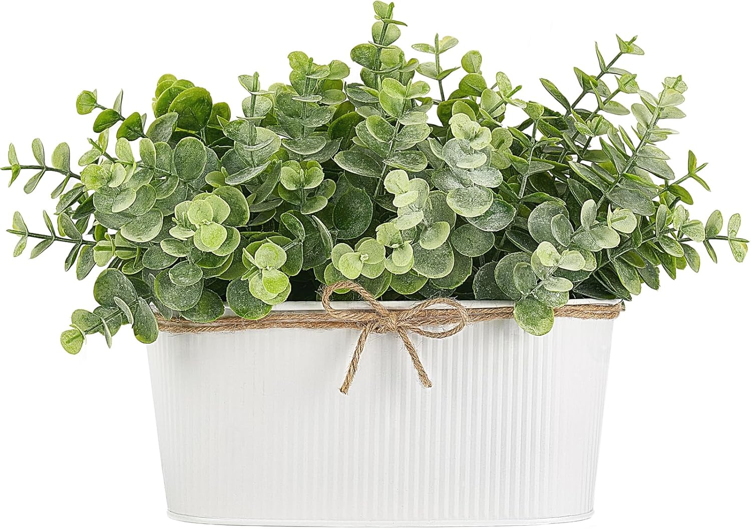 Rectangular Farmhouse Black Faux Plant — White