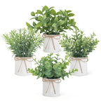 Farmhouse Black Artificial Plant — 6"