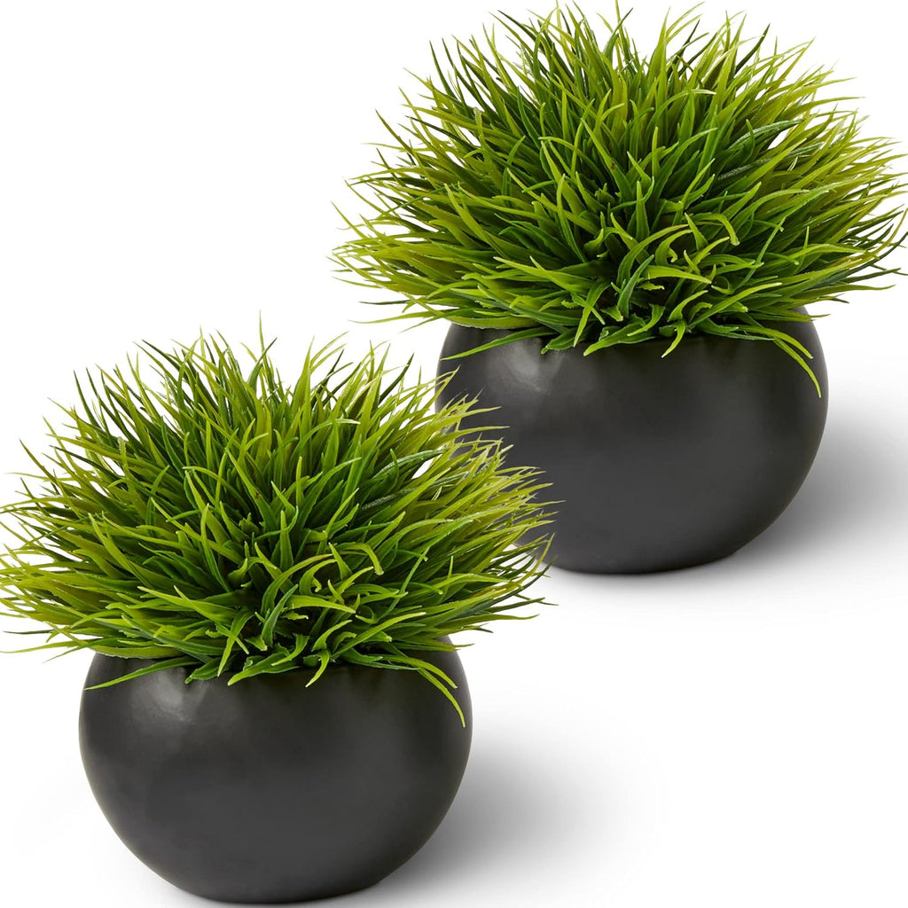 Round Ceramic Faux Succulent — 2 Pack Round