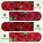 Beige Artificial Flowers - View 5