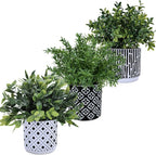 Modern Wood Artificial Plant - View 2