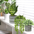 Modern Artificial Plant - View 4